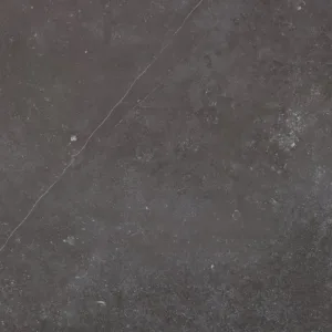 Fossil