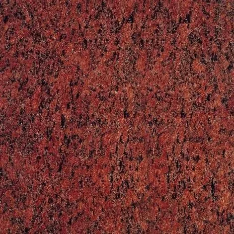 Vanga