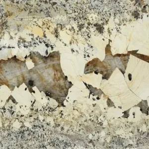 Pattagonia