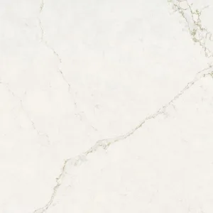 Blanco Maple
