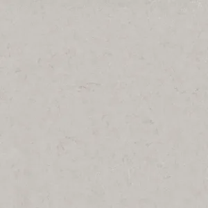 Motion Grey