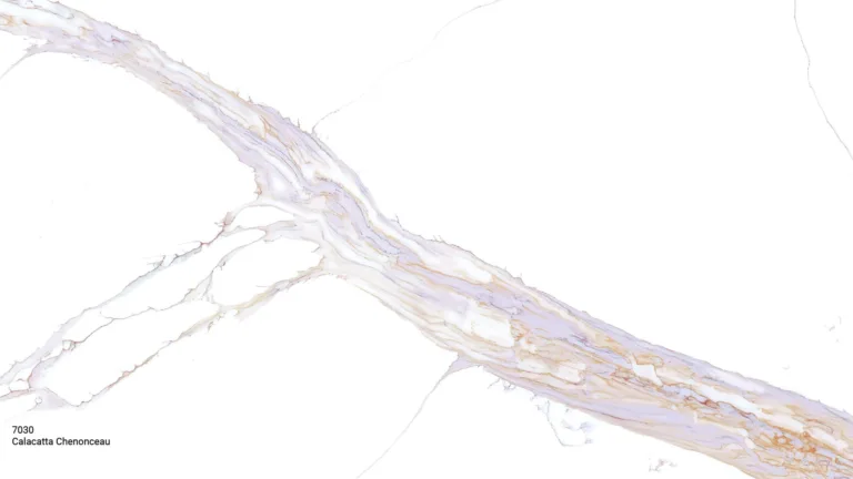 Calacatta Chenonceau