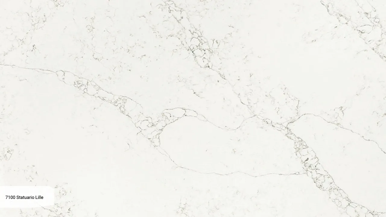 Statuario Lille 1 Statuario Lille